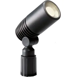 Garden Lights Strahler Alder