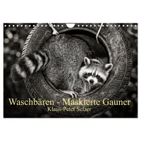 Calvendo Waschbären - Maskierte Gauner (Wandkalender 2026 DIN A4
