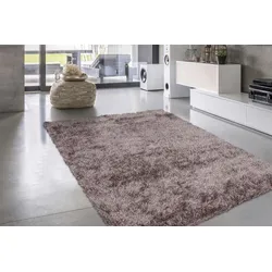Hochflor-Teppich CALO-DELUXE "Masada 900", grau (taupe), B:160cm H:40mm L:230cm, Kunstfaser, Teppiche, Wohnzimmer
