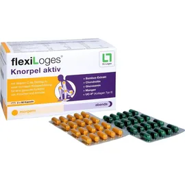 Dr. Loges Flexiloges Knorpel aktiv Kapseln 120 St.