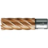 BDS Kernbohrer VARIOPlus lang KBI HSS Schaft Weldon 60/50mm