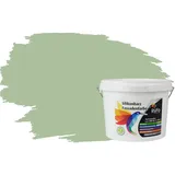 RyFo Colors Silikonharz Fassadenfarbe Lotuseffekt Trend Oase 3l - bunte Fassadenfarbe, weitere Grün Farbtöne und Größen erhältlich, Deckkraft Klasse 1