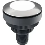 Rafi Drucktaster DT091