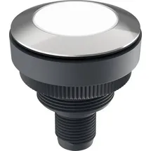 Rafi Drucktaster DT091
