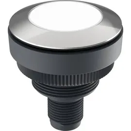 Rafi Drucktaster DT091