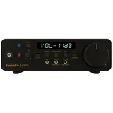 Creative Labs Creative Sound Blaster X5 USB Externe hochauflösende Dual-DAC-USB-Soundkarte mit symmetrischem Xamp-Kopfhörer-Bi-Verstärker für Musikliebhaber