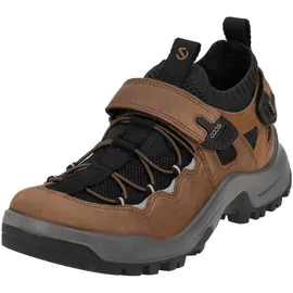 ECCO Offroad Herren Cocoa Brown/Schwarz 40