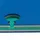 ProGame Trocellen Judomatte Green ITIS-Easy""