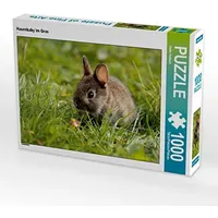 Calvendo Hasenbaby im Gras Puzzle