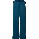 Trollkids, Unisex, Skihosen, Kid's Hallingdal Pant (110), Blau, 110