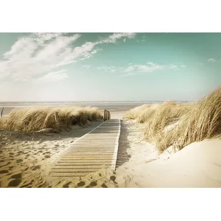 Forwall - Vlies Fototapete Strand Meer Ostsee Natur Dünen Landschaft 104x70,5 cm - Fototapeten - Tapeten - für Wohnzimmer Schlafzimmer - Vliestapete Wandtapete Tapete 3D Effekt- inkl. Kleister