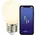 Glühlampe 2170062701 dimmbar