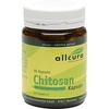 Chitosan 480 mg Kapseln 90 St.