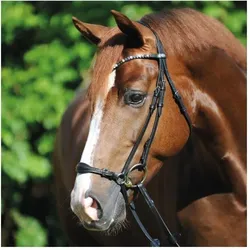 Trensen Reiten Kavalkade Fiala SCHWARZ|SCHWARZ|SCHWARZ COB