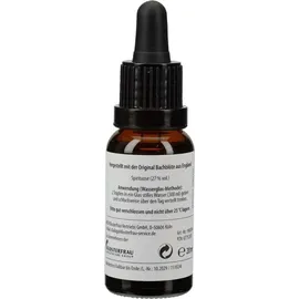 Klosterfrau Bachblüten Murnauer White Chestnut Tropfen