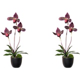 Creativ green Kunstorchidee »Orchidee Frauenschuh«, mit Real-Touch-Blüten, rot