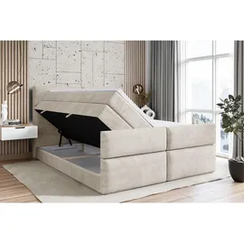 altdecor Boxspringbett BOXI3-Z KING 160 x 200 cm H3/H4 Creme