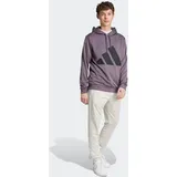 adidas Trainingsanzug ADIDAS SPORTSWEAR "M BL FT HD TS", Herren, Gr. L, grau (grau strata), Obermaterial: 100% Polyester, Sportanzüge Trainingsanzug, Set aus Hose und Hoodie, aus French-Terry-Material, zweiteilig