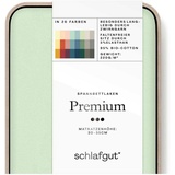 SCHLAFGUT Premium Spannbettlaken - green light - 180-200x200-220 cm
