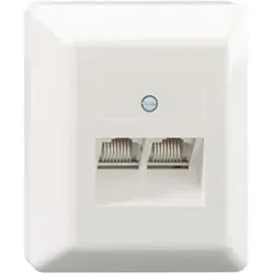 Rutenbeck Anschlußdose UAE 8/8(8/8) Ap rw