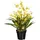 Creativ green Kunstorchidee Oncidie Dancing Queen Orchidee Oncidie, Creativ green, Höhe 60 cm gelb