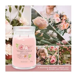 Yankee Candle Fresh Cut Roses große Kerze 567 g
