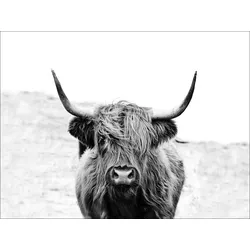 Keilrahmenbild SCOT HIGHLAND - bunt