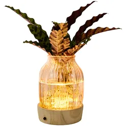 Tchibo - Wasserpflanze im Glas mit LED »Calathea« - grün