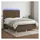 vidaXL Boxspringbett mit Matratze & LED Dunkelbraun 140x200 cm Stoff