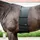 Catago Body Shield Körperschutz für Pferde L 200 cm Schwarz