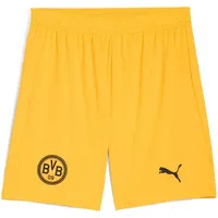 Puma Borussia Dortmund Shorts 2025/26 gelb Herren Gr. L