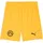 Puma Borussia Dortmund Shorts 2025/26 gelb Herren Gr. L