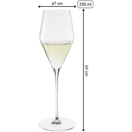 Spiegelau Definition Champagnerglas 0,25 l 6-tlg.