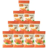 Taiky Bot Chien Xu Panko Paniermehl Tempura Panko Bread Crumbs 10x150g