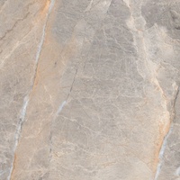 Euro Stone Feinsteinzeugfliese Etienne 60 x 60 cm, grau