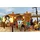 Adventure Park (PC)