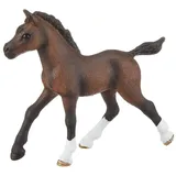 Schleich Horse Club Araber Fohlen 13762