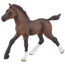 Schleich Horse Club Araber Fohlen 13762
