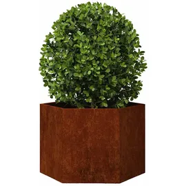 vidaXL Pflanzkübel Rostig 60 x 60 x 45 cm Cortenstahl