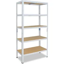 shelfplaza Schwerlastregal Metall 155x50x30 cm weiß 5 Böden