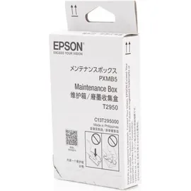 Epson C13T295000