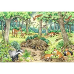 Wieso? Weshalb? Warum? Tiere im Wald und auf der Wiese