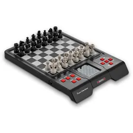 Millennium Karpov Schachschule