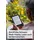 Tolino shine 5 16GB schwarz