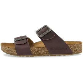 HAFLINGER Bio Andrea Braun 40