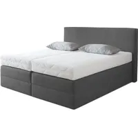 Westfalia Schlafkomfort Boxspringbett, grau (anthrazit), B:175cm L:205cm, Microvelours (100%