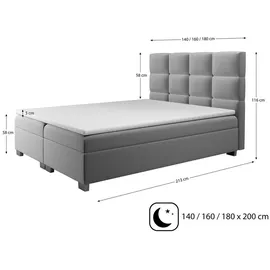 beautysofa Velours Polsterbett KANADA mit 2x Bettkasten, Doppelbett mit Topper 5 cm, Bett mit Federkerns (Stoff: alfa 14 - cappucino, Breite: 160 cm) - Blau