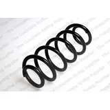 Lesjöfors Fahrwerksfeder