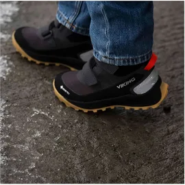 Viking Expower Mid GTX 2V