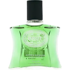 Brut Original Lotion 100 ml